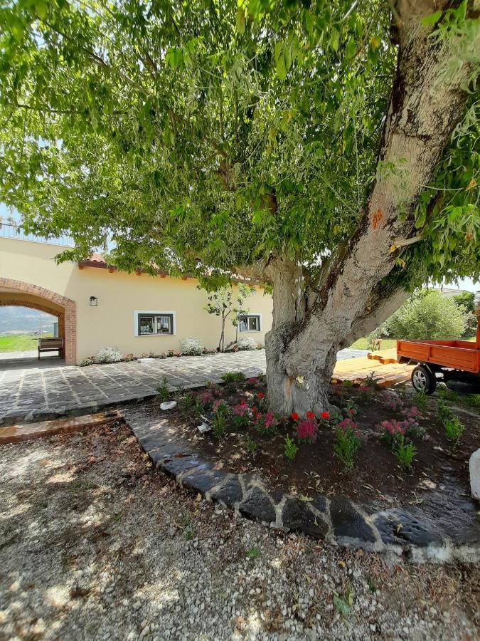B&B Tenuta San Michele Capaccio Buitenkant foto