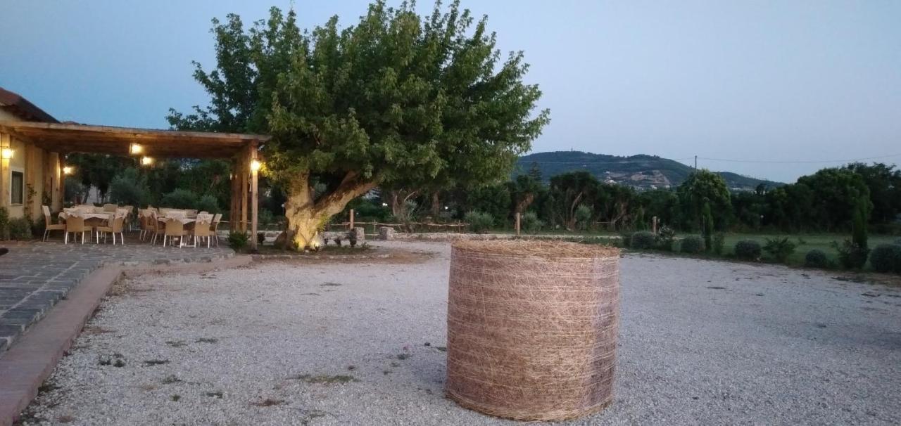B&B Tenuta San Michele Capaccio Buitenkant foto